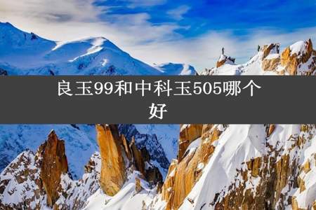 良玉99和中科玉505哪个好