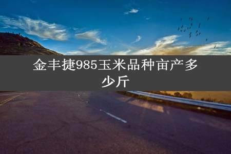 金丰捷985玉米品种亩产多少斤