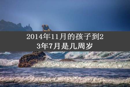 2014年11月的孩子到23年7月是几周岁