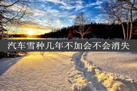 汽车雪种几年不加会不会消失