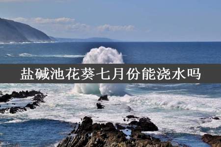 盐碱池花葵七月份能浇水吗