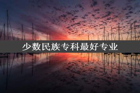 少数民族专科最好专业