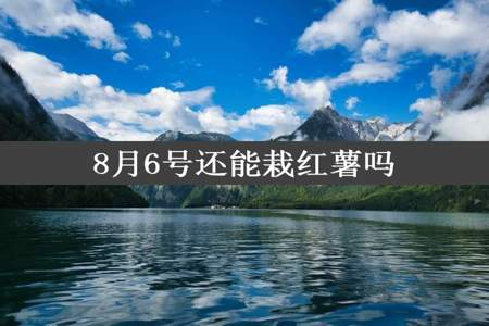 8月6号还能栽红薯吗