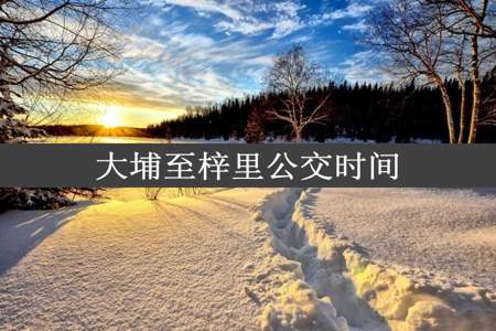 大埔至梓里公交时间