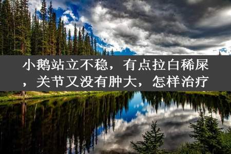 小鹅站立不稳，有点拉白稀屎，关节又没有肿大，怎样治疗