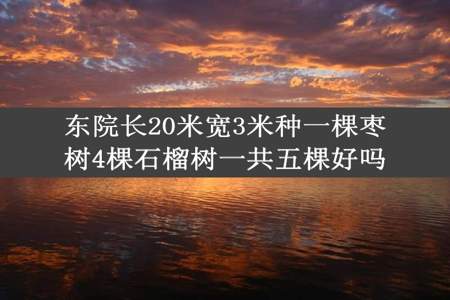 东院长20米宽3米种一棵枣树4棵石榴树一共五棵好吗