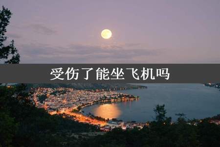 受伤了能坐飞机吗