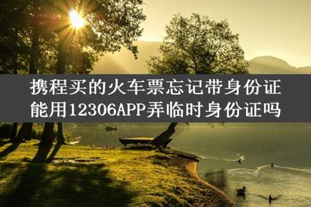 携程买的火车票忘记带身份证能用12306APP弄临时身份证吗