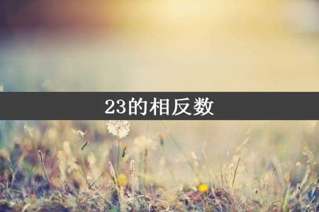 23的相反数