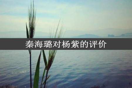 秦海璐对杨紫的评价