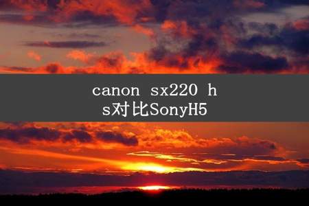 canon sx220 hs对比SonyH5
