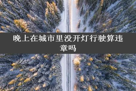 晚上在城市里没开灯行驶算违章吗