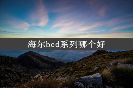 海尔bcd系列哪个好