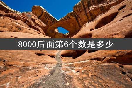 8000后面第6个数是多少