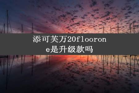 添可芙万20floorone是升级款吗