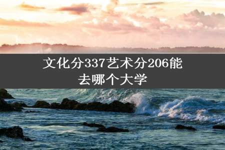 文化分337艺术分206能去哪个大学