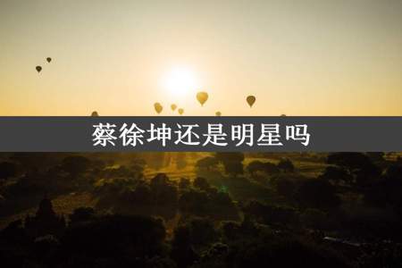 蔡徐坤还是明星吗