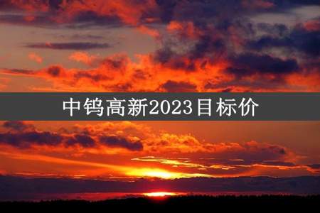 中钨高新2023目标价