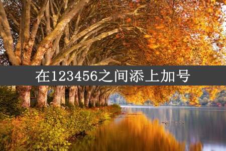 在123456之间添上加号