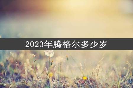 2023年腾格尔多少岁