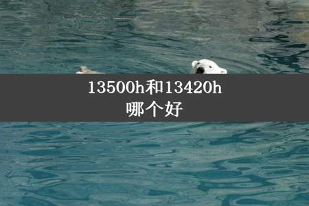 13500h和13420h哪个好