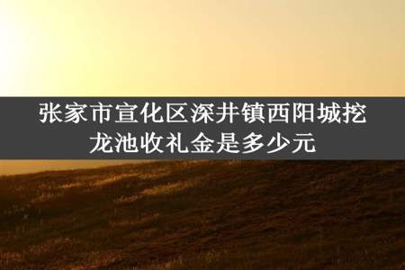 张家市宣化区深井镇西阳城挖龙池收礼金是多少元