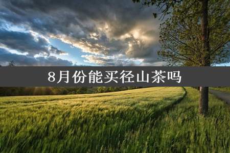 8月份能买径山茶吗