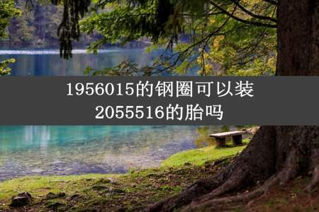 1956015的钢圈可以装2055516的胎吗