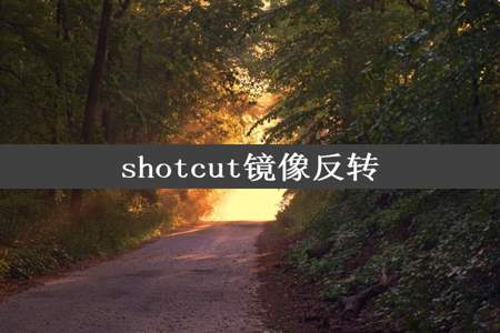 shotcut镜像反转