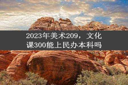 2023年美术209，文化课300能上民办本科吗