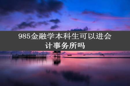 985金融学本科生可以进会计事务所吗