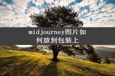 midjourney图片如何放到包装上