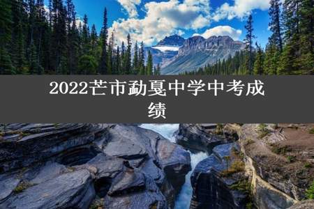 2022芒市勐戛中学中考成绩