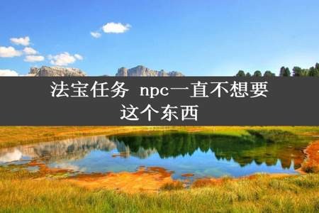 法宝任务 npc一直不想要这个东西