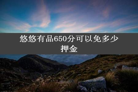 悠悠有品650分可以免多少押金