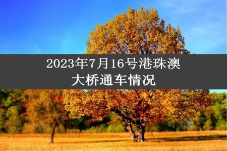 2023年7月16号港珠澳大桥通车情况