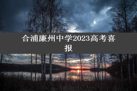 合浦廉州中学2023高考喜报