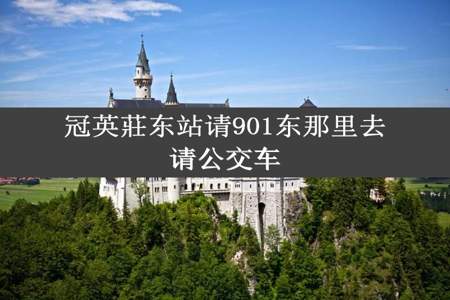 冠英莊东站请901东那里去请公交车