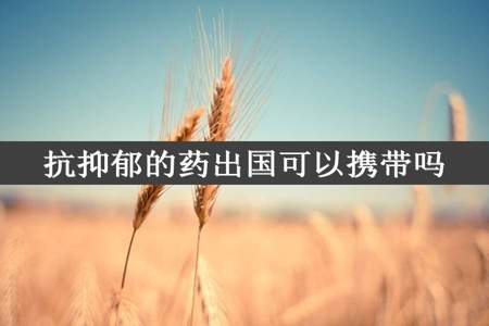 抗抑郁的药出国可以携带吗