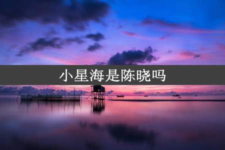 小星海是陈晓吗