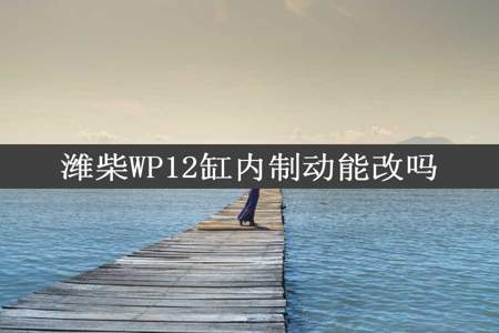 潍柴WP12缸内制动能改吗