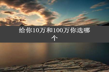 给你10万和100万你选哪个