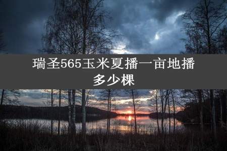 瑞圣565玉米夏播一亩地播多少棵