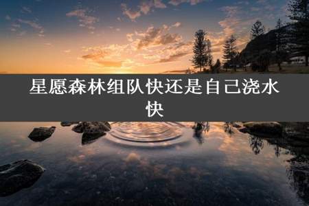 星愿森林组队快还是自己浇水快