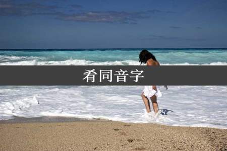 肴同音字