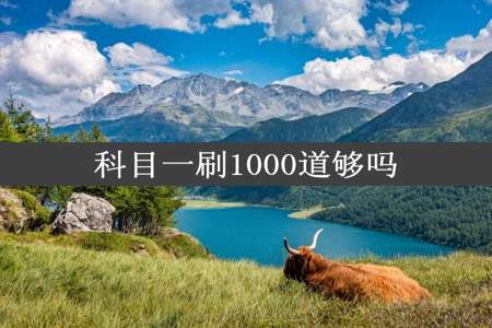 科目一刷1000道够吗