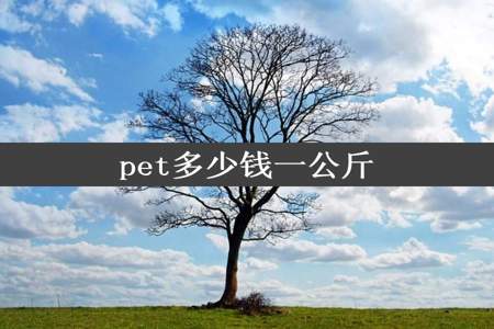 pet多少钱一公斤