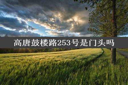 高唐鼓楼路253号是门头吗