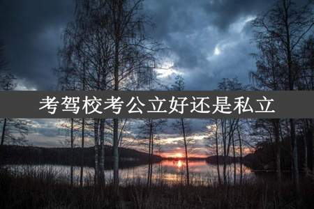 考驾校考公立好还是私立