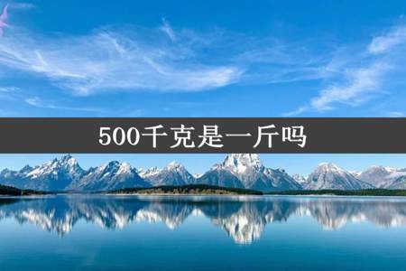 500千克是一斤吗